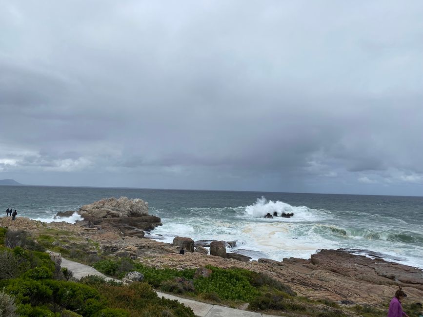 Hermanus