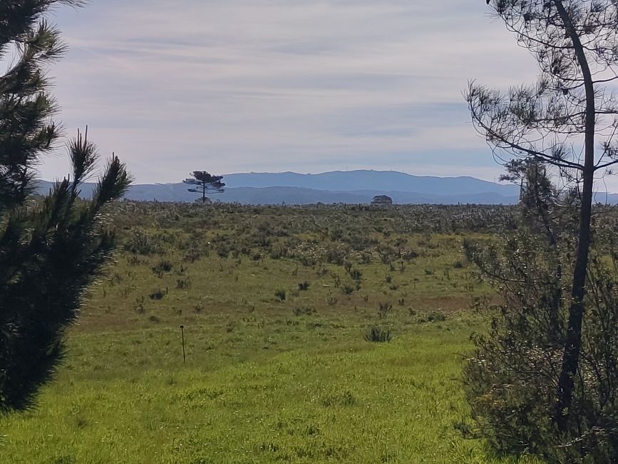 Aljezur -> Odeceixe