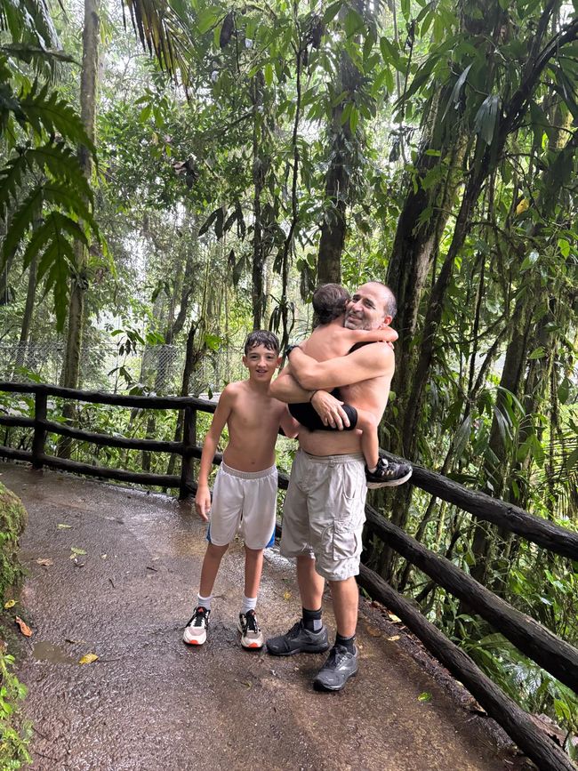 Forêt tropicale ou forêt de nuages