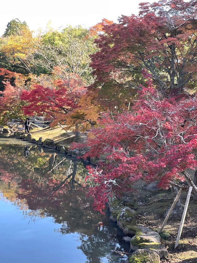 15. Capitolo: Visita al grande Buddha e sabato pomeriggio nel parco con proposta dal vivo