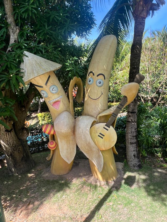 Tag 14 Phu Quoc: CHÚC MỪNG NĂM MỚI - HAPPY NEW YEAR