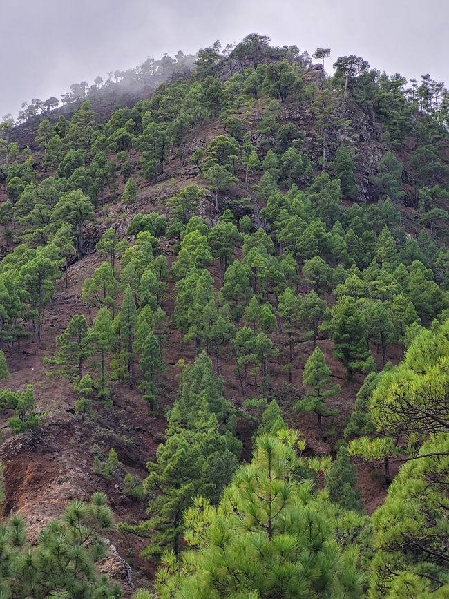 Nationalpark