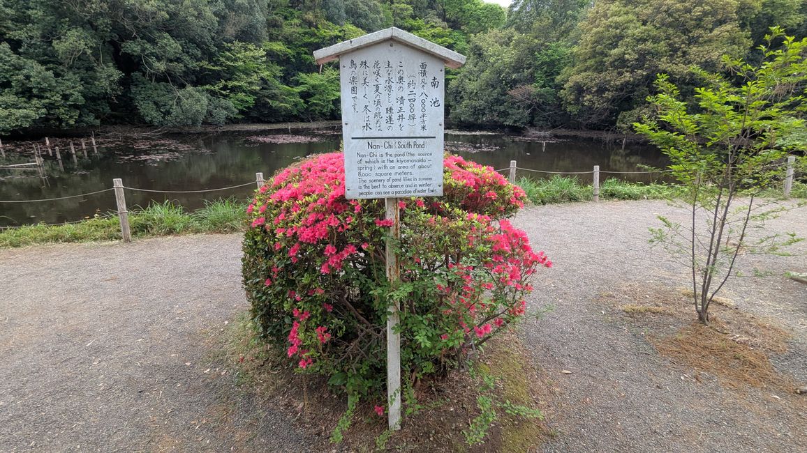 Sightseeing in Shibuya und Shinjuku