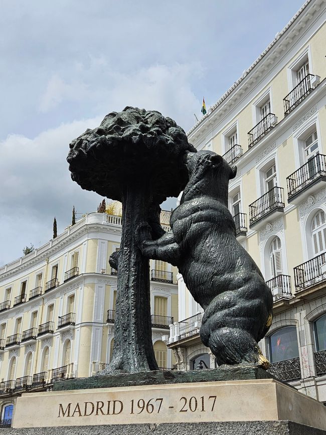 Orso con albero di fragole