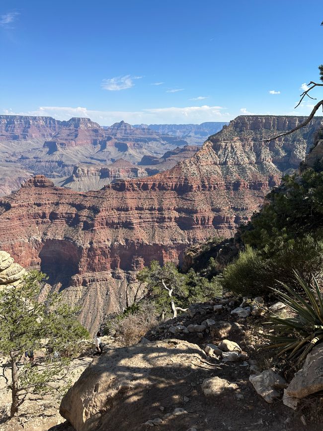 Lake Powell/ Horse Shoe/ Grand Canyon