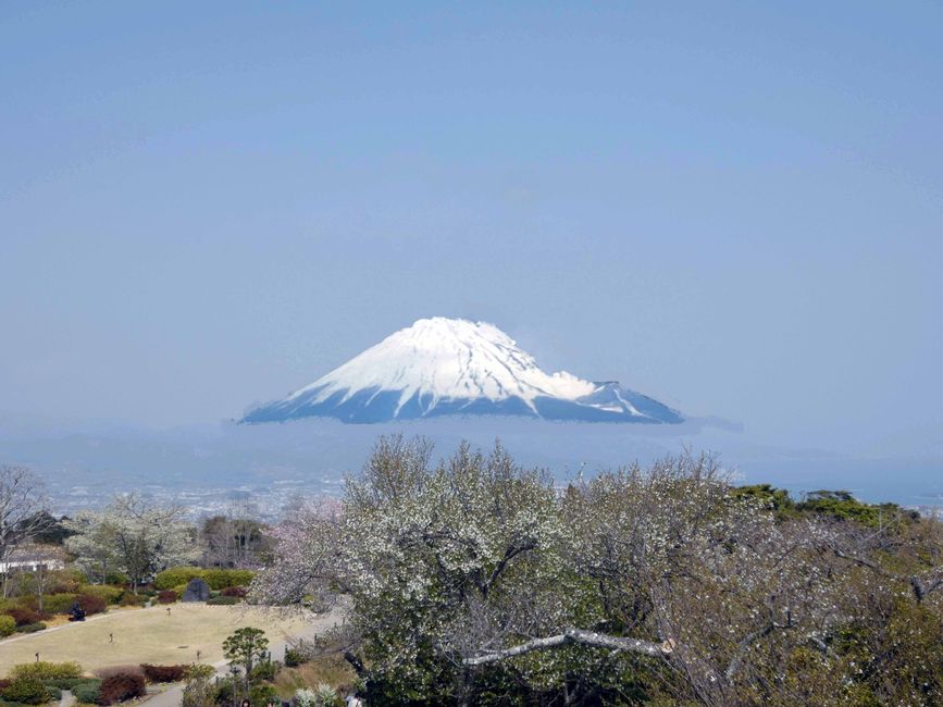 Shimuzu, March 29, 2026