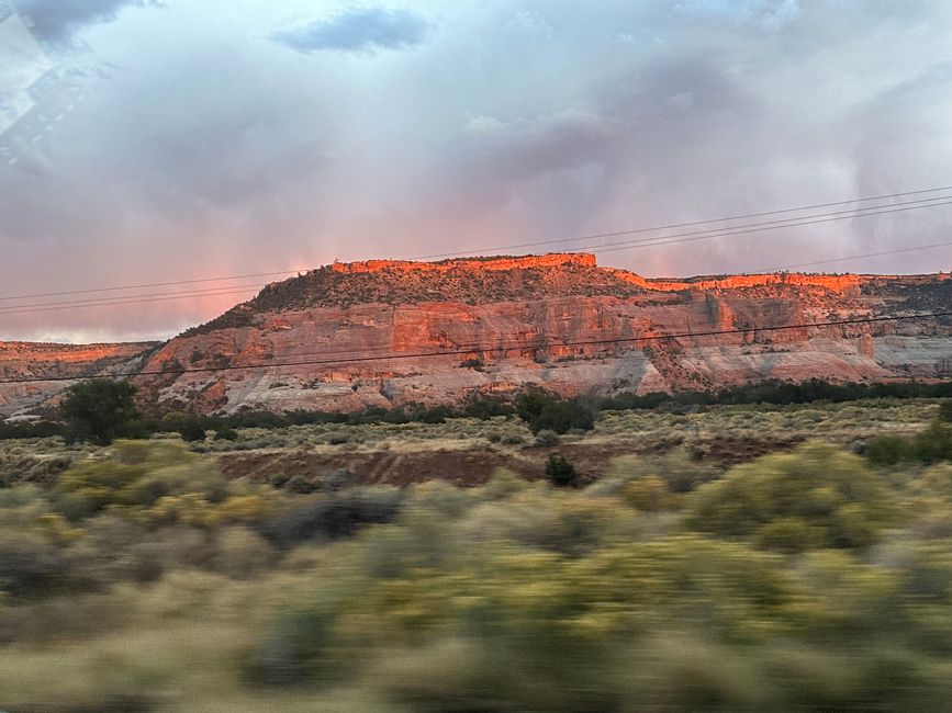 Arizona/Nuevo México/Bosque Petrificado/Playas Blancas