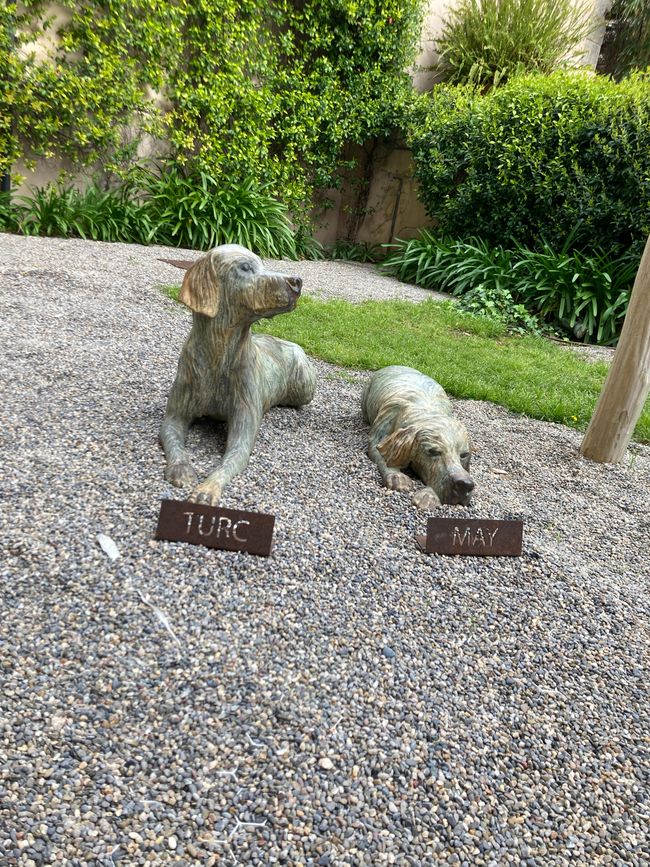 In Soller …finde ich den Mann für‘s Leben