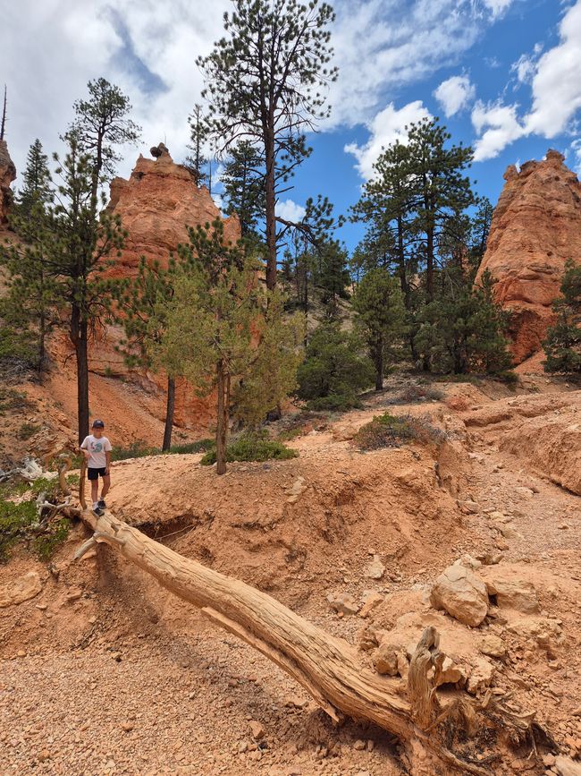 Bryce Canyon