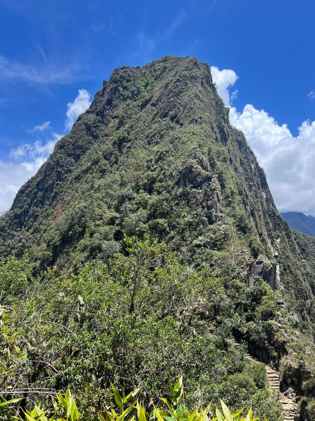 👷‍♂️标签 31-1 (3.11.) 马丘比丘，登上惠纳比丘山