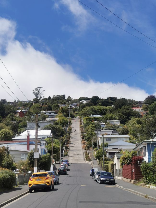 Steilste Straße der Welt, Dunedin