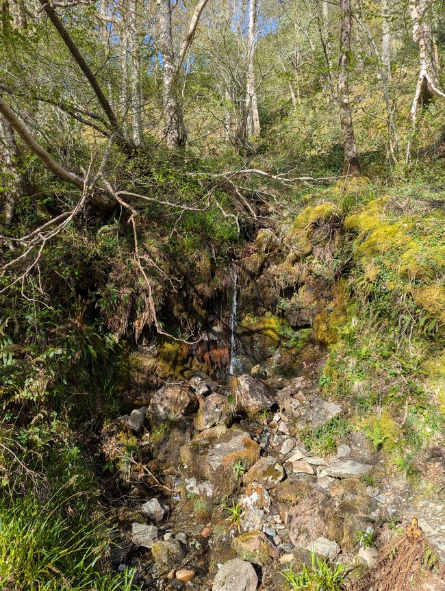 Ein Vorteil vom Regen - süße kleine Wasserfälle