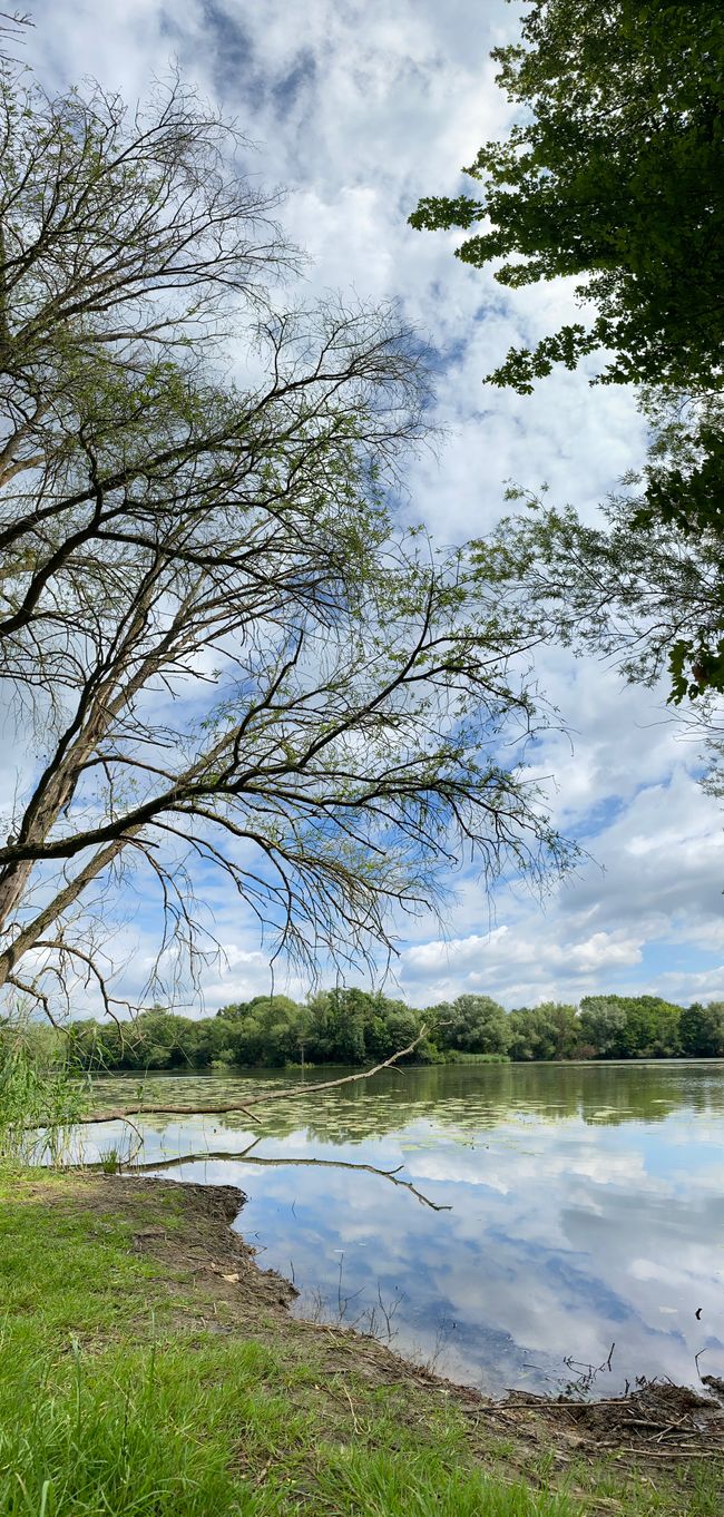 Mittagspause am See mit schönem Ausblick