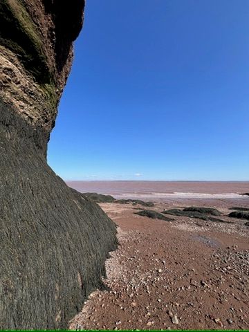 Un paseo por el lecho marino de uno de los lugares de marea más extremos del mundo