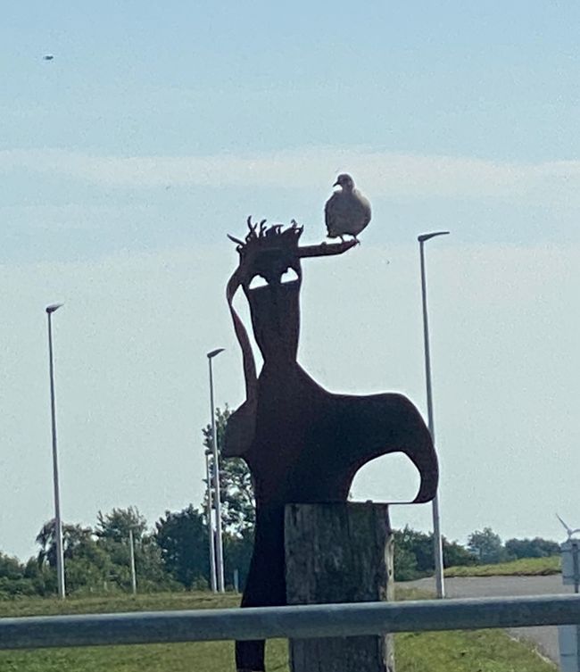 "Wattkieker" mit Taubenbesuch