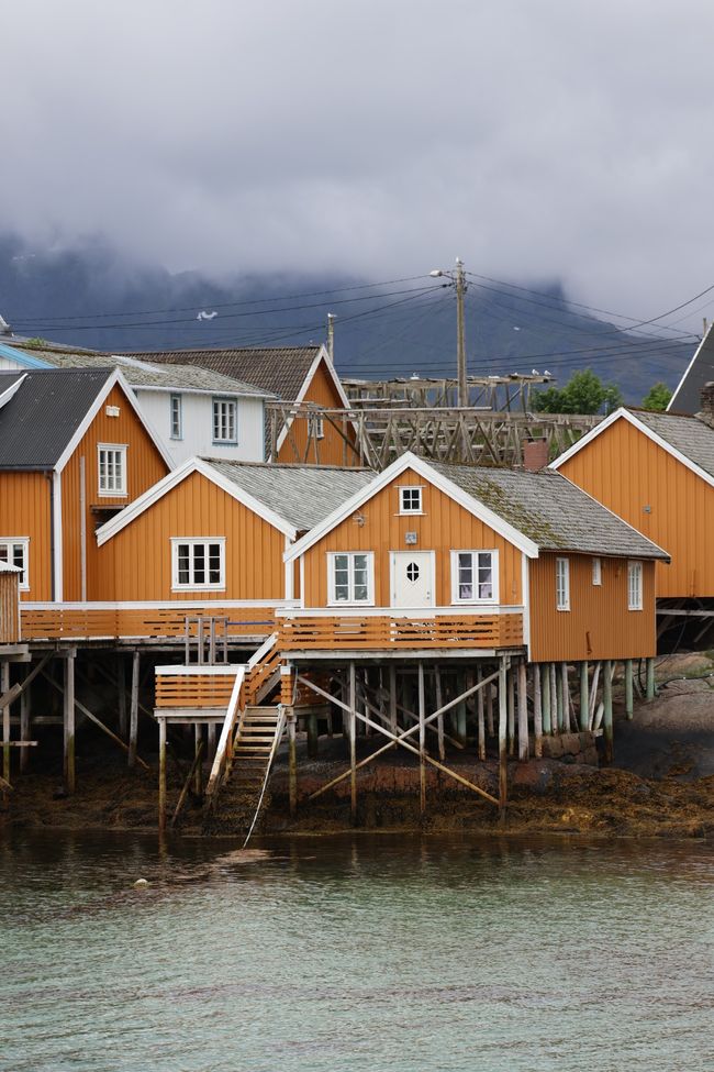 LOFOTEN - Che mondo meraviglioso?
