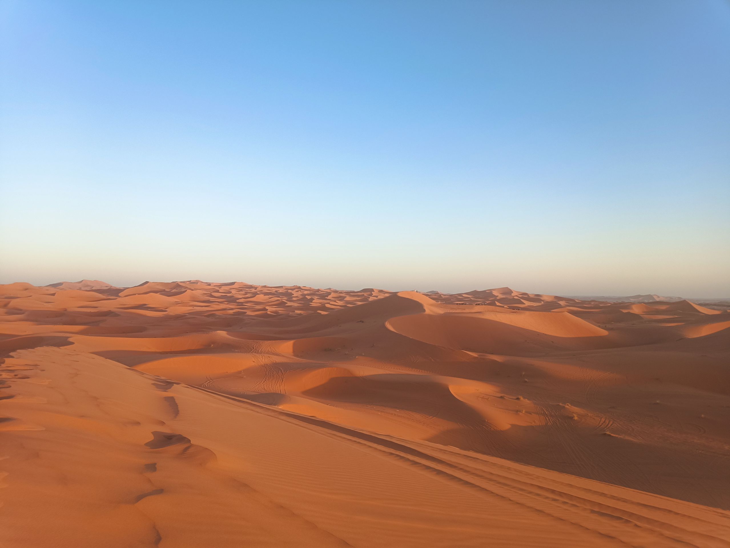 Et-taous ⵟⴰⵡⵙ الطاوس