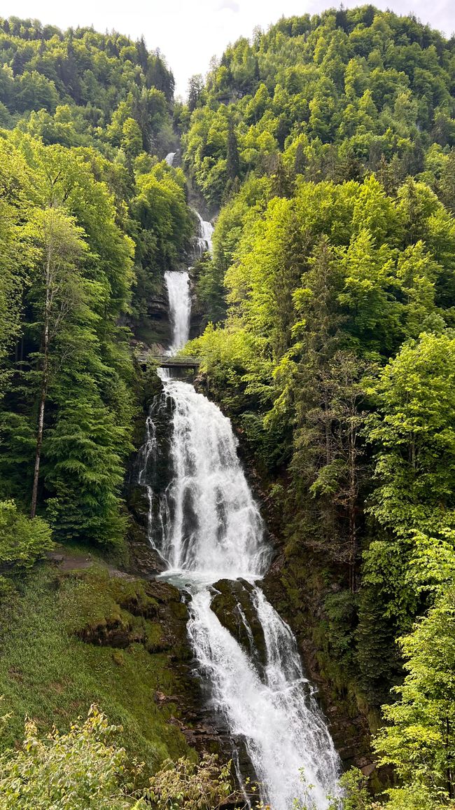 Home is where the heart is and my heart is with you