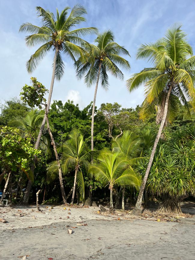 los días en la costa de pacífico 