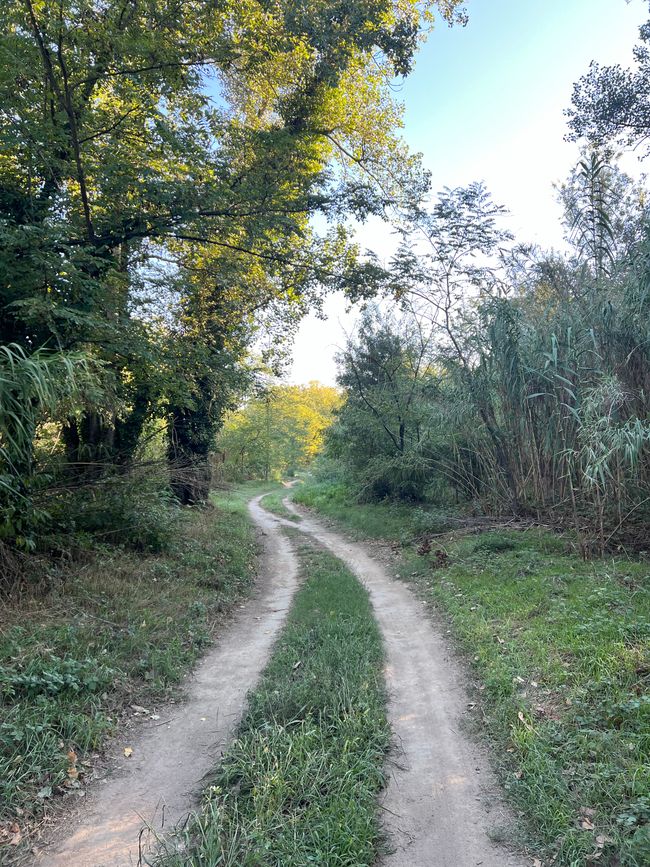 03 to Anglès sur Mer