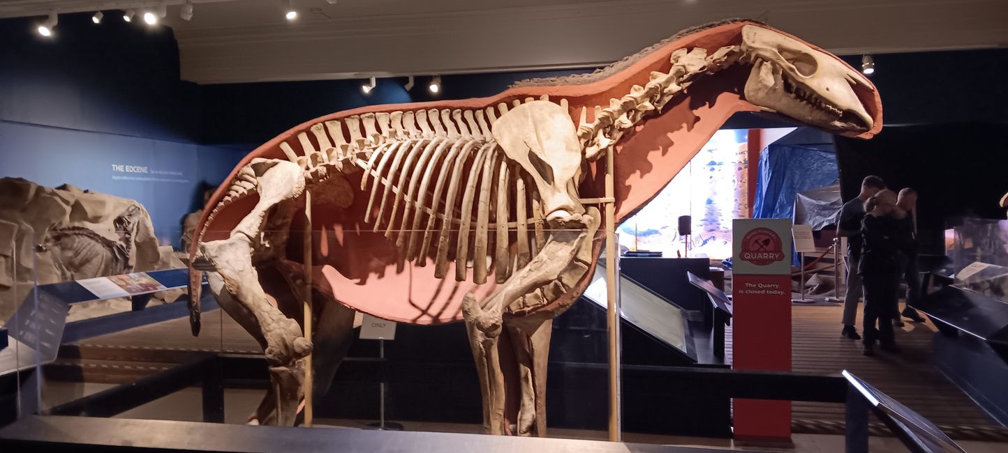 Museum of natural history I