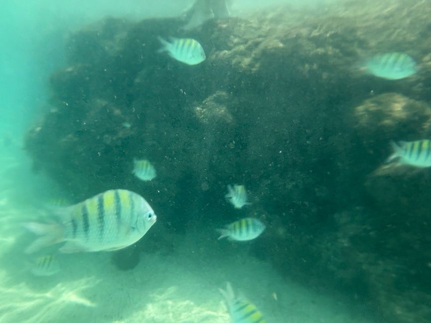 Da ist der Geburtstag 