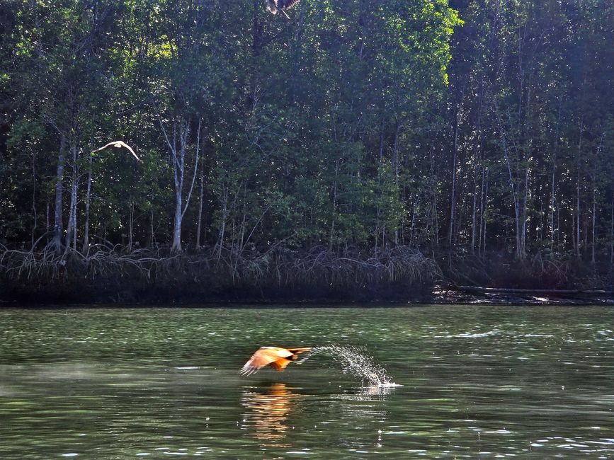Langkawi - Reif für die Insel!