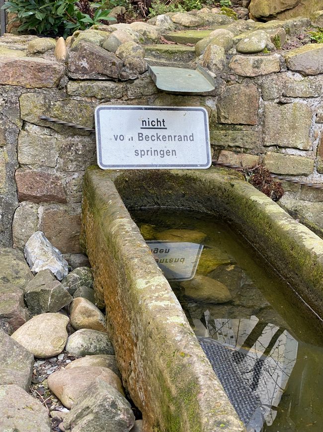 Kein Froch zu sehen, der springen könnte