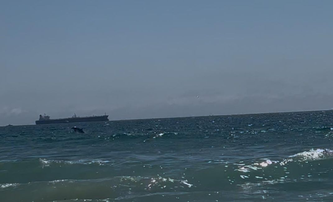 California 2025, Day 3, Dockweiler Beach and El Segundo