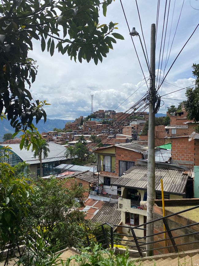哥伦比亚 🇨🇴