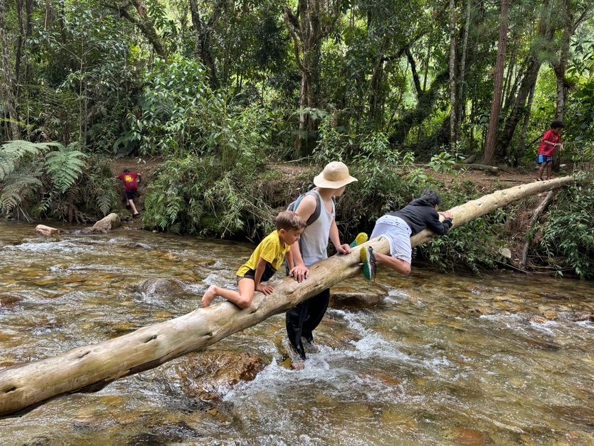 Semaine 26-28 : Au revoir, Colombie