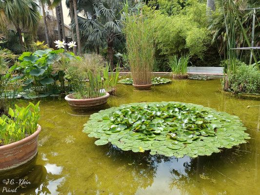 Valencia Stadt und Botanischer Garten