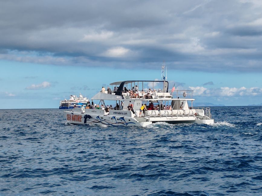 Hoy en catamarán por el Océano Atlántico