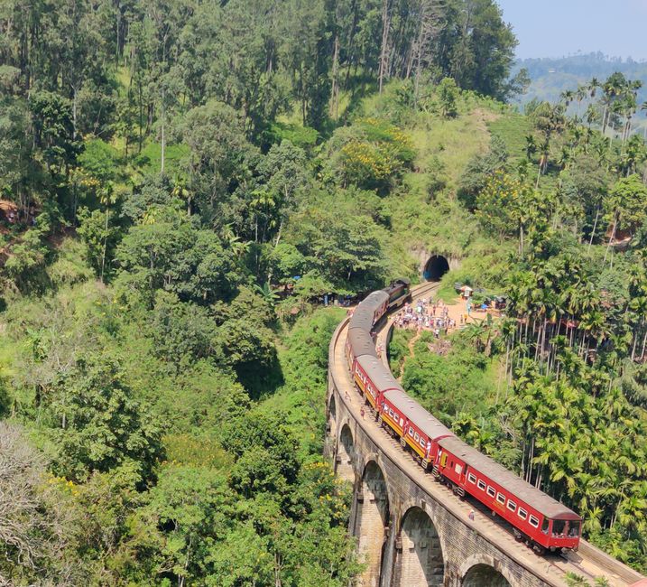 Kandy - Ella - Udawalawe 