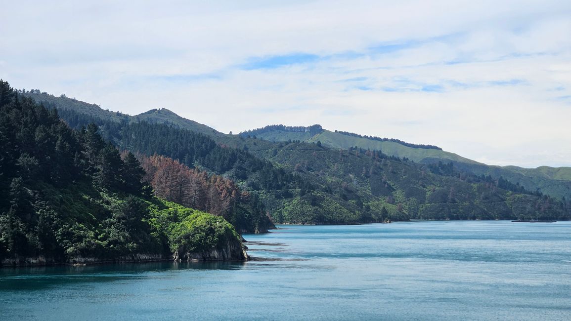 Owhiro Bay