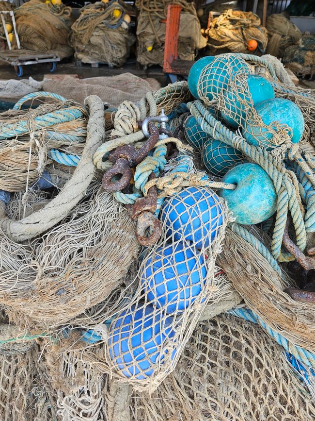 Fischereihafen 