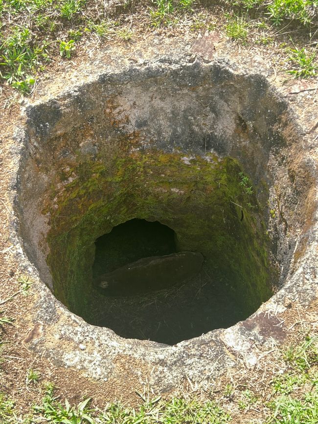 Étiquette 6/Lun, 2ème partie (Parc Archéologique de San Augustin)