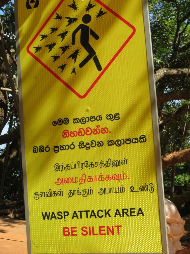 Sigiriya - Pidarungala Rock e Lions Rock