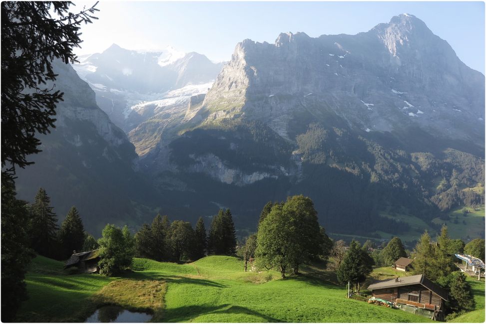 Oberer Grindelwaldgletscher