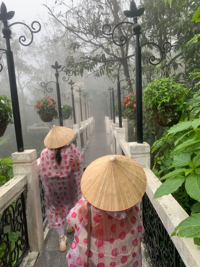 Tag 6 - Hoi An : Un Licorne Endormi et une Aventure dans le Brouillard