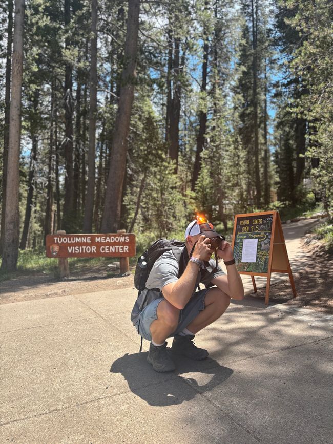Tag 7 - Erster Tag im Yosemite Nationalpark 🥾🌲