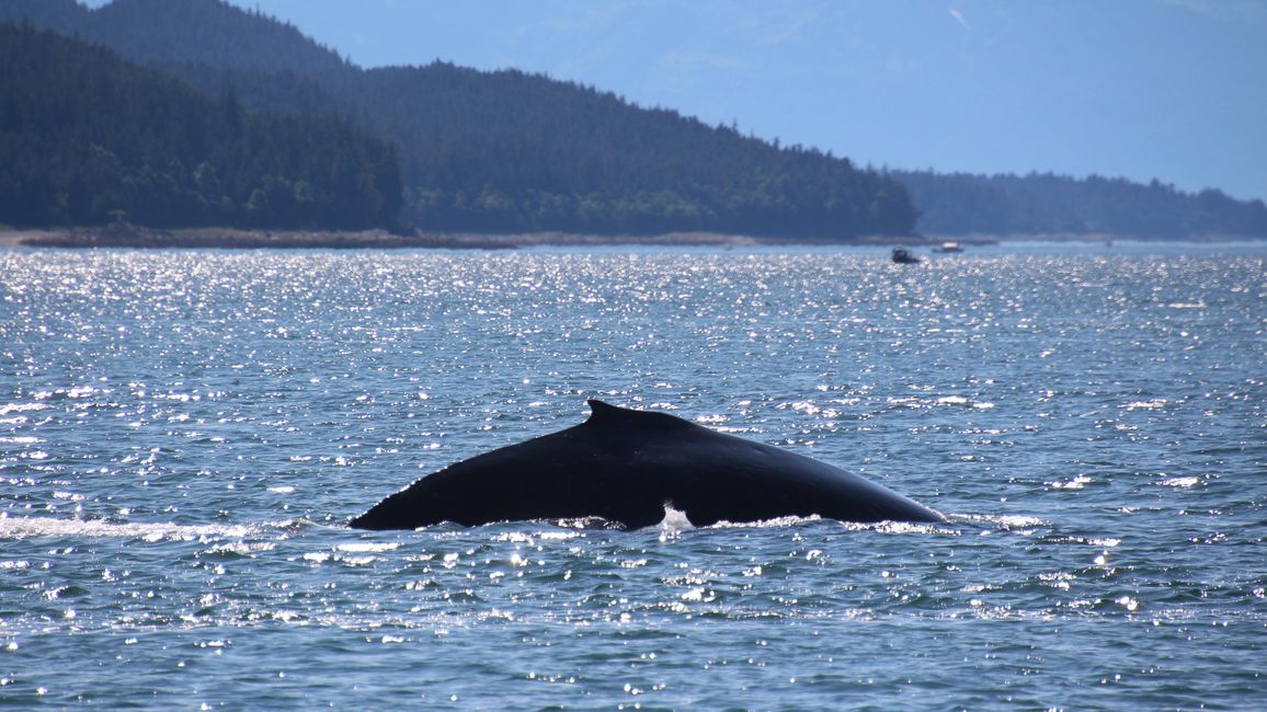 Day 24: Trip to Juneau: Glacier Outburst & 20,000 Tourists