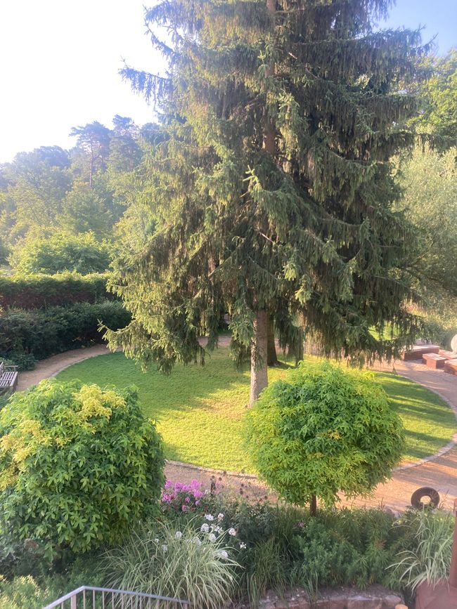 Per Rufbus durch die Ukraine