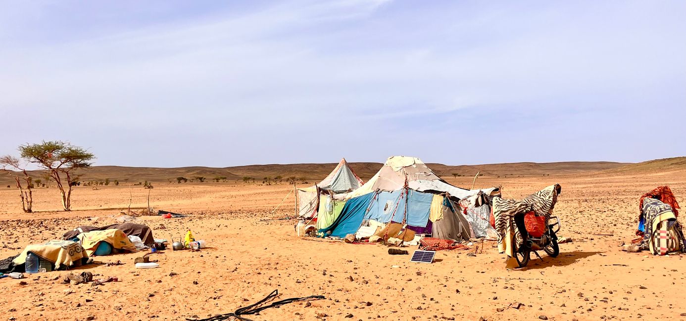 Nomad dwellings in the desert - note the small solar panel for the phone!