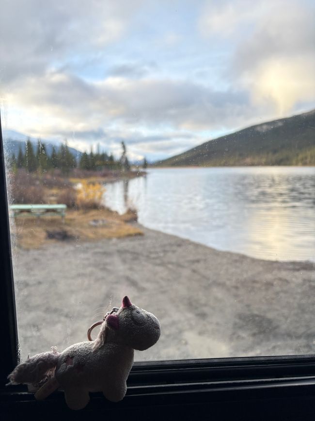 Tag 6 - 🐿️ T-Shirt-Wetter, Stachelschwein-Stau & „Closed for Season“ – unser zweiter Tag auf der Canol Road