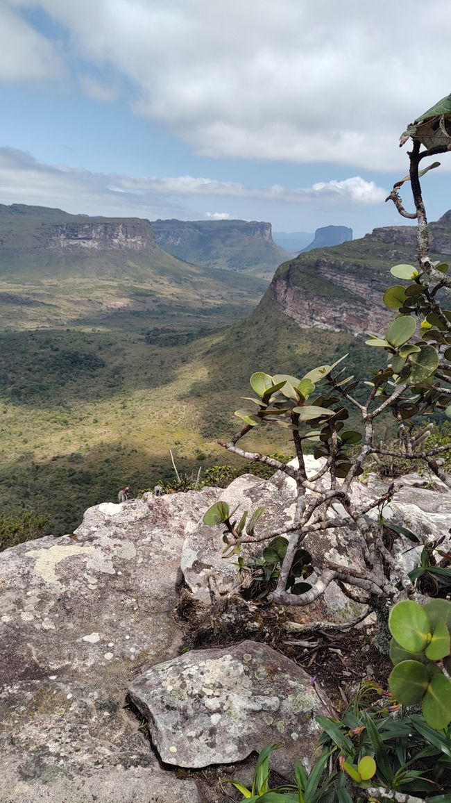 Brazil, on the way to the Diamante National Park