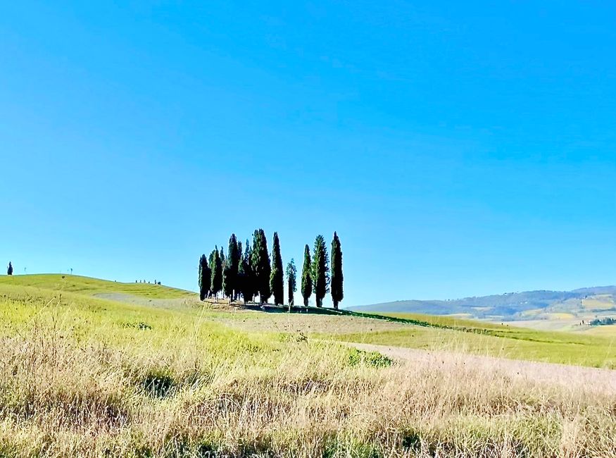 Die Toskana und Zypressen sind nicht voneinander zu trennen.