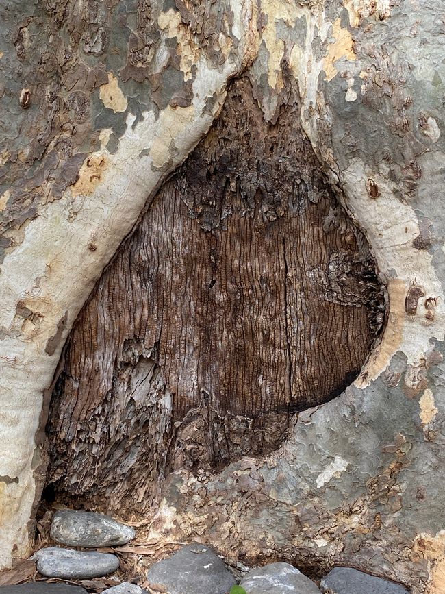 Wenn das kein Hobbit-Haus ist...