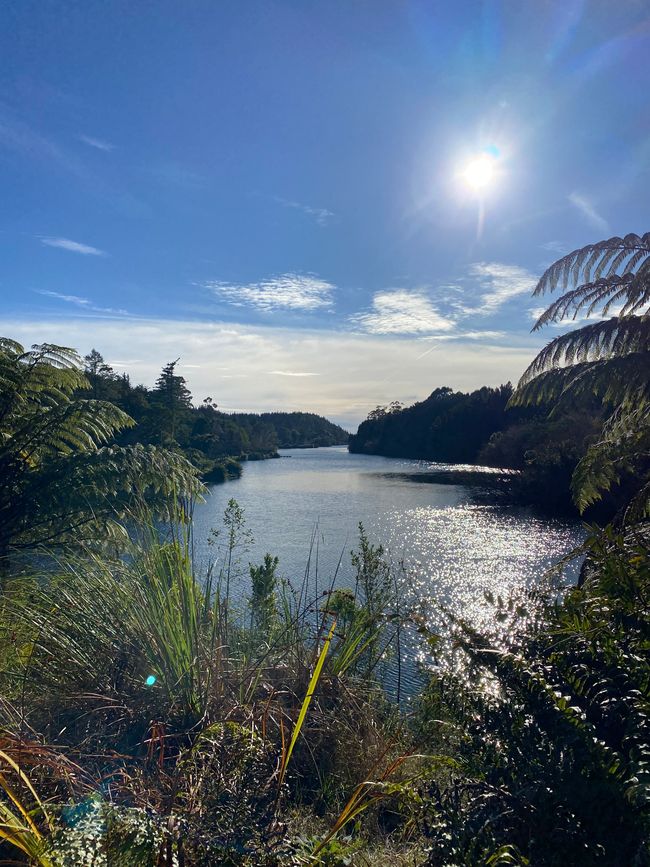 Lake Mangamahoe & Ratapihipihi Scenic Reserve