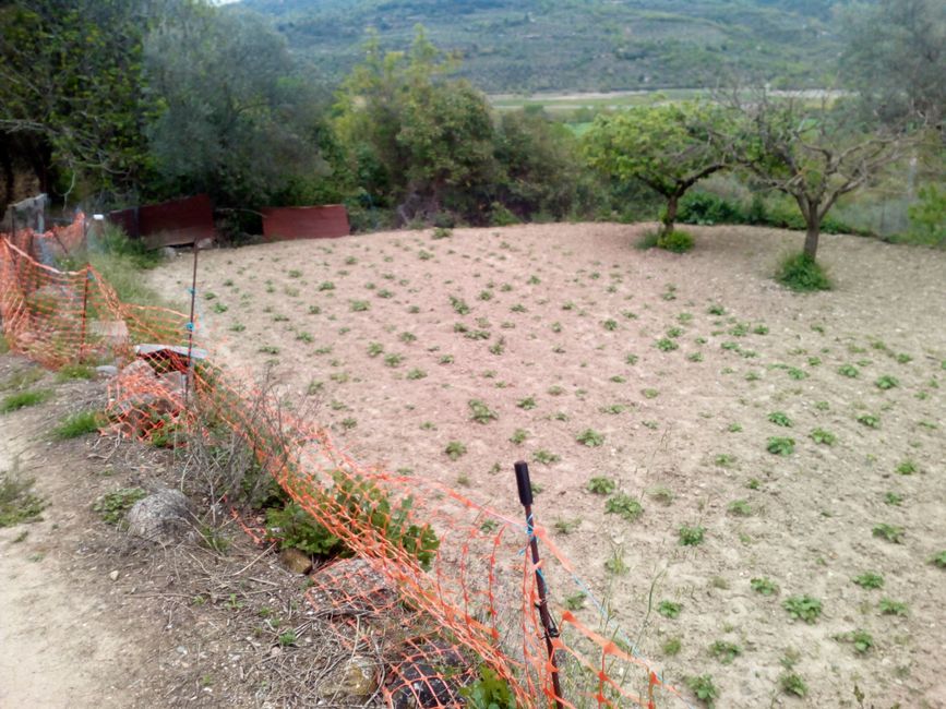 Photos of Sant Joan de Vinyafrescal (la Pobla de Segur, Pallars Jussà, Lleida)